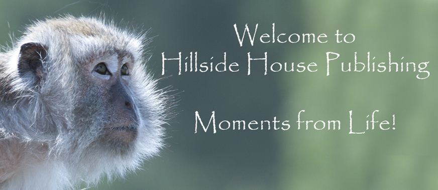 Hillside House Publishing er en del af Hillside House Media